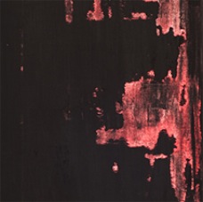 janina dordel 2010_30x100_schwarzrot