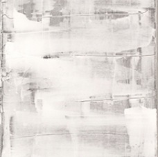 janina dordel 2010_30x100_weiss