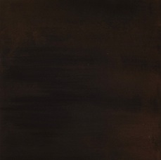 janina dordel 2010_50x150_braun