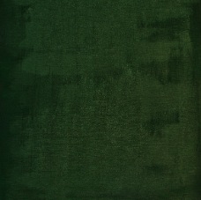 janina dordel 2011_50x60_gruen