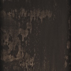 janina dordel 2011_50x60_oliv