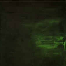 janina dordel 2012_70x100_gruen