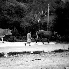 janina dordel photographie fotografie 1183_HEIMWEG1_1_1