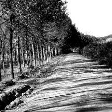 janina dordel photographie fotografie 317_SCHATTENSPIELE_2_1