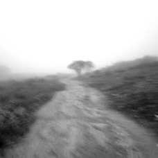 janina dordel photographie fotografie 986_NEBEL_4_3